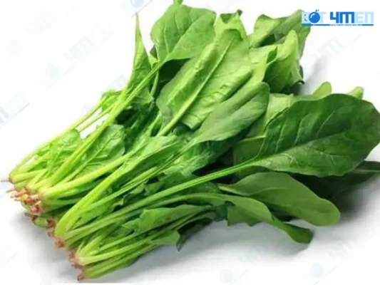 Rau cải bó xôi 