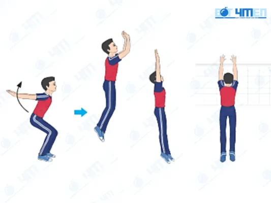 Chặn bóng qua lưới