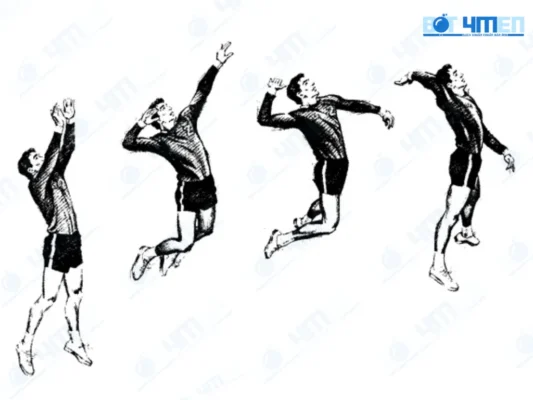Đập bóng qua lưới