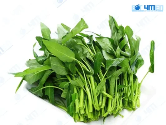 Rau muốn 