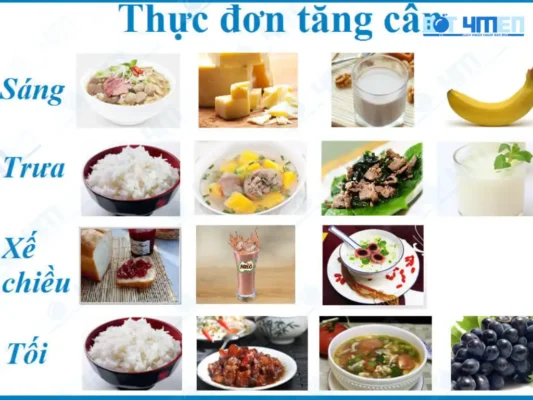 Thực đơn mẫu cho chế độ ăn tăng cân