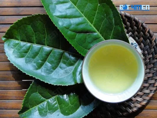 Cách trị bao quy đầu tại nhà