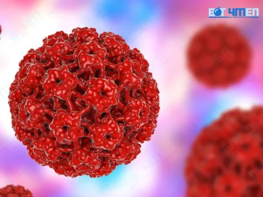 Virus HPV là gì