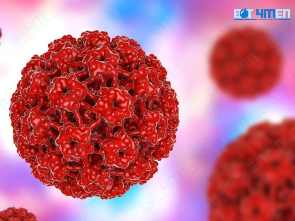 Virus HPV là gì