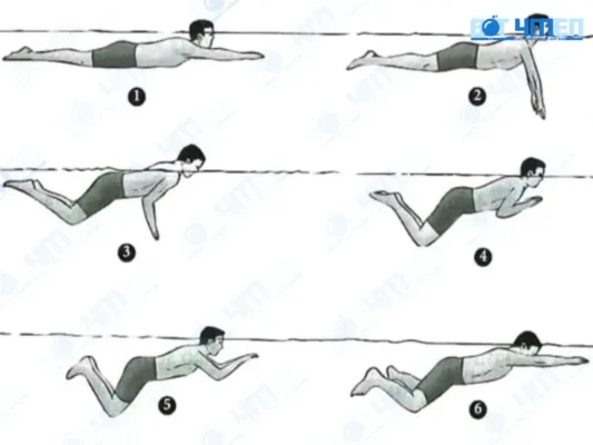 Cách bơi ếch