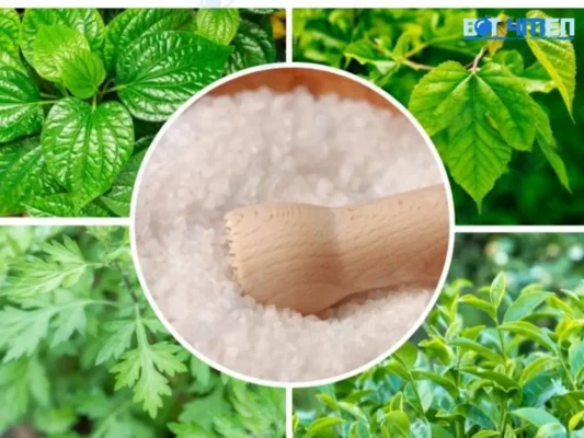 Cách trị ra mồ hôi tay chân tại nhà đơn giản, hiệu quả