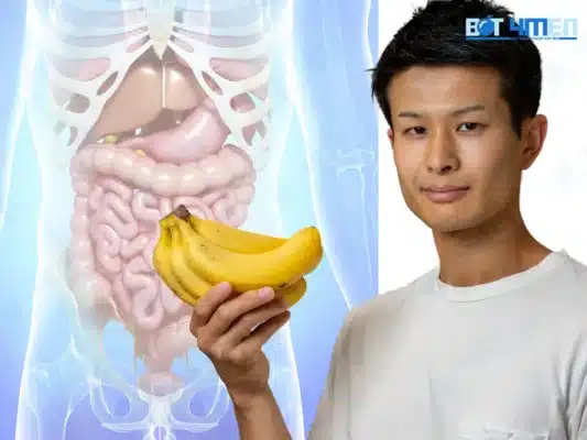 Hỗ Trợ Hệ Tiêu Hóa Khỏe Mạnh