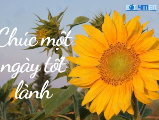 Lời chúc ngày mới cho ngày mới cho người yêu 
