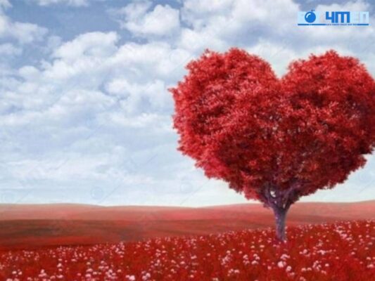 Ý nghĩa lời chúc ngày valentine