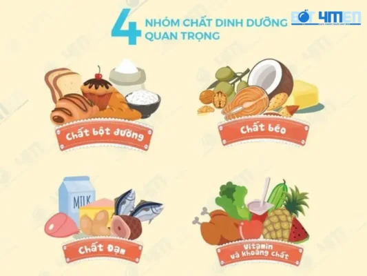 Lưu ý quan trọng khi áp dụng thực đơn tăng cân