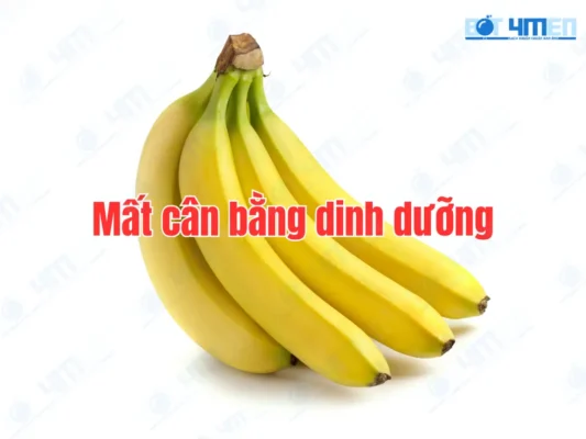 Mất Cân Bằng Dinh Dưỡng