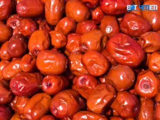 Tăng Cường Hệ Miễn Dịch