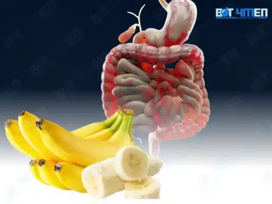 Hỗ trợ tiêu hóa