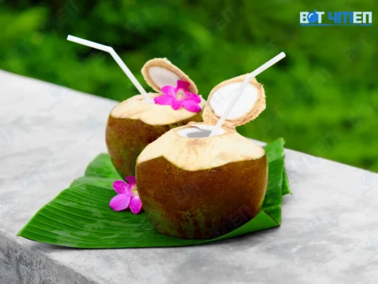 Bù Nước & Điện Giải Hiệu Quả