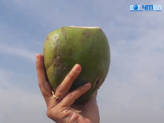 Gây Lạnh Bụng, Khó Tiêu