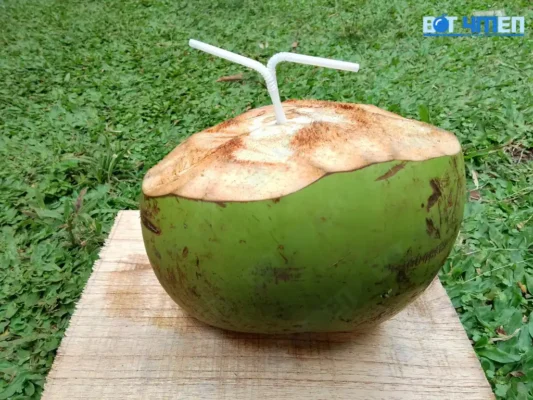 Ngăn Ngừa Sỏi Thận